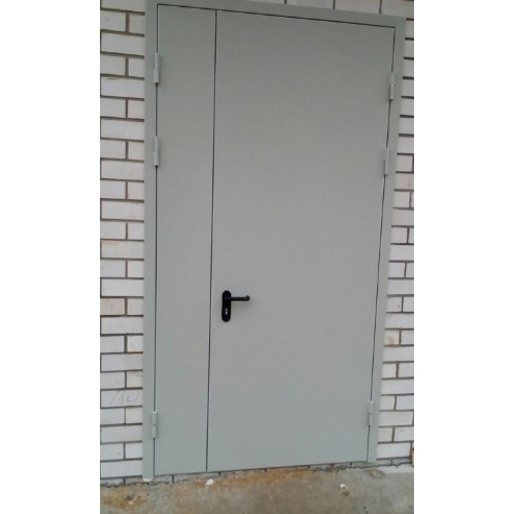  Техническая дверь двупольная Ral 7035 1